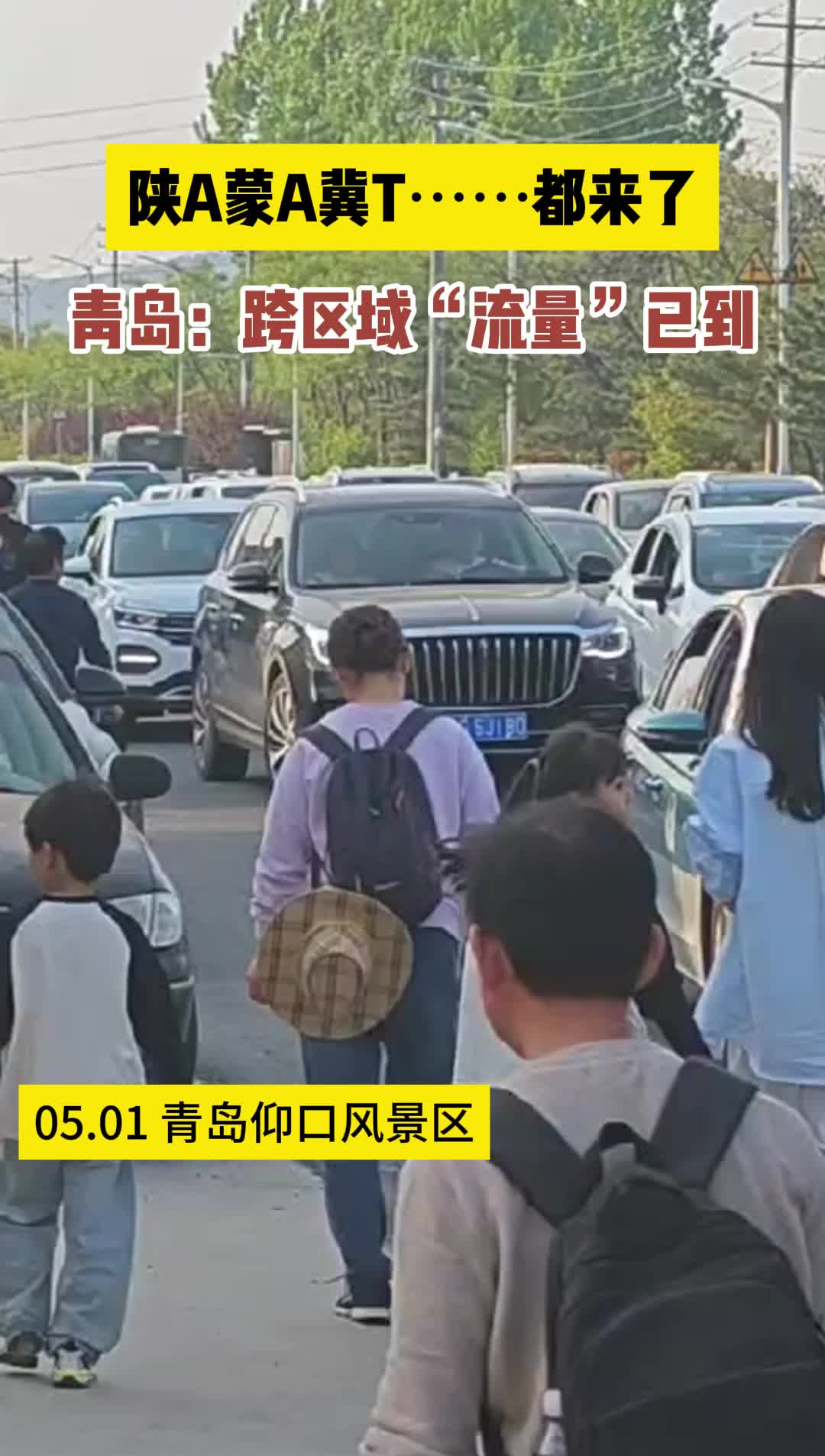 陕A蒙A冀T⋯⋯都来了，青岛报告：跨区域“流量”已到！