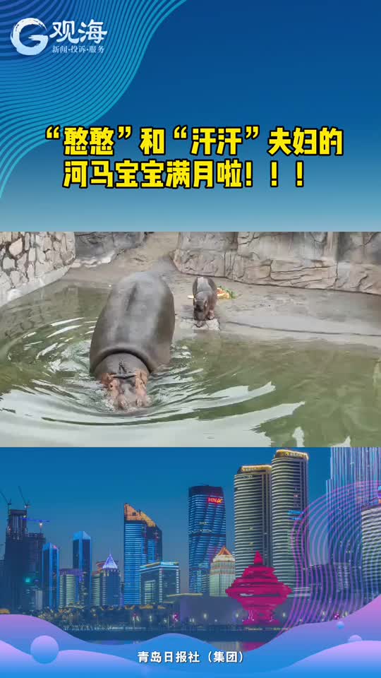 河马宝宝满月啦
