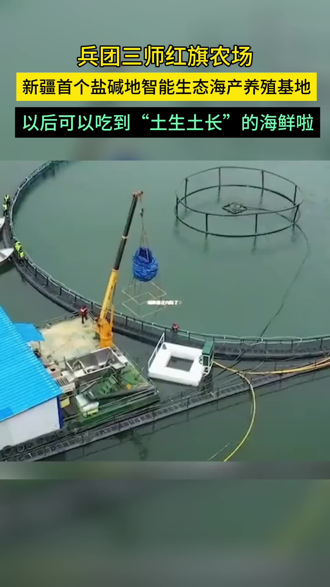 新疆首个盐碱地智能生态海产养殖基地：以后可以吃到“土生土长”的海鲜啦！