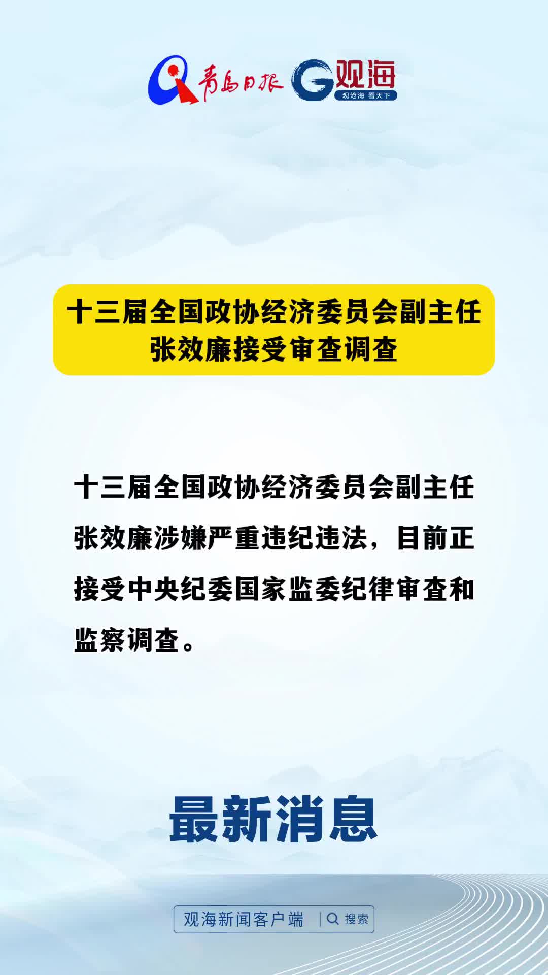 十三届全国政协经济委员会副主任张效廉接受审查调查