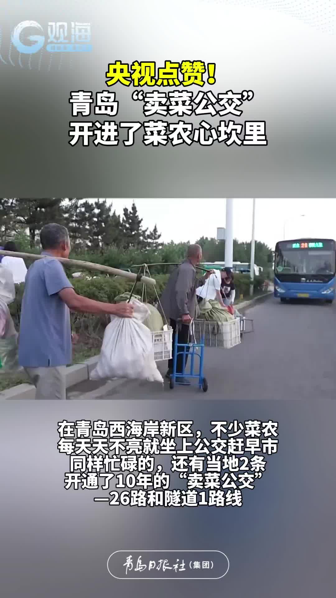央视点赞！青岛“卖菜公交”开进了菜农心坎里