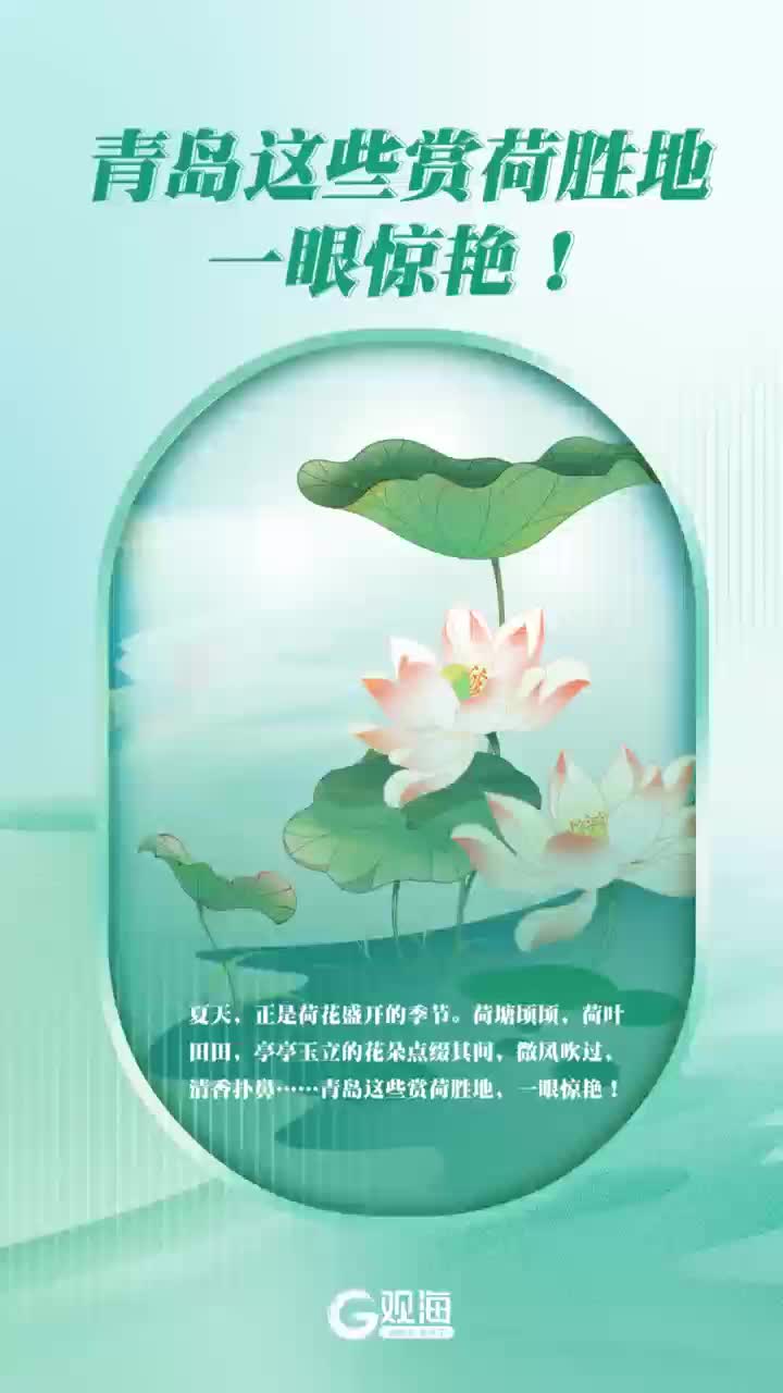 青岛这些赏荷胜地，一眼惊艳！