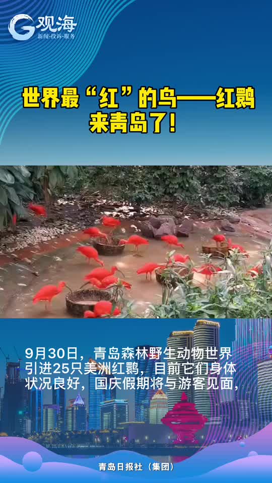 全球最“红”的鸟？